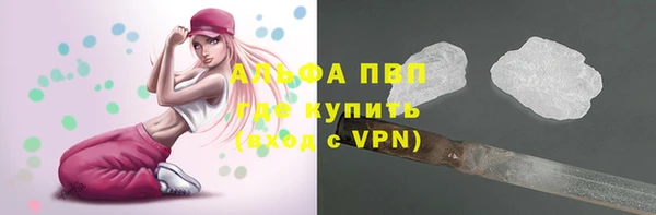 спиды Волосово