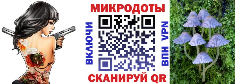 Галлюциногенные грибы Magic Shrooms  Купить  Мариинск 